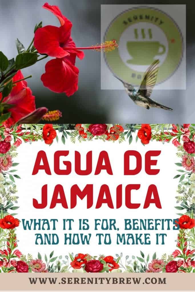 Agua de Jamaica: what it is for, benefits and how to make it - Serenity ...