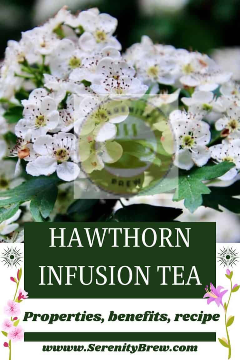 Hawthorn infusion tea properties, benefits, recipe Serenity Brew