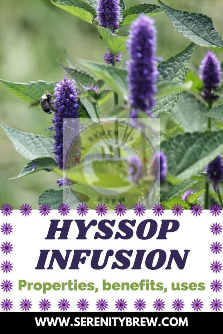 Hyssop infusion properties, benefits, uses Serenity Brew