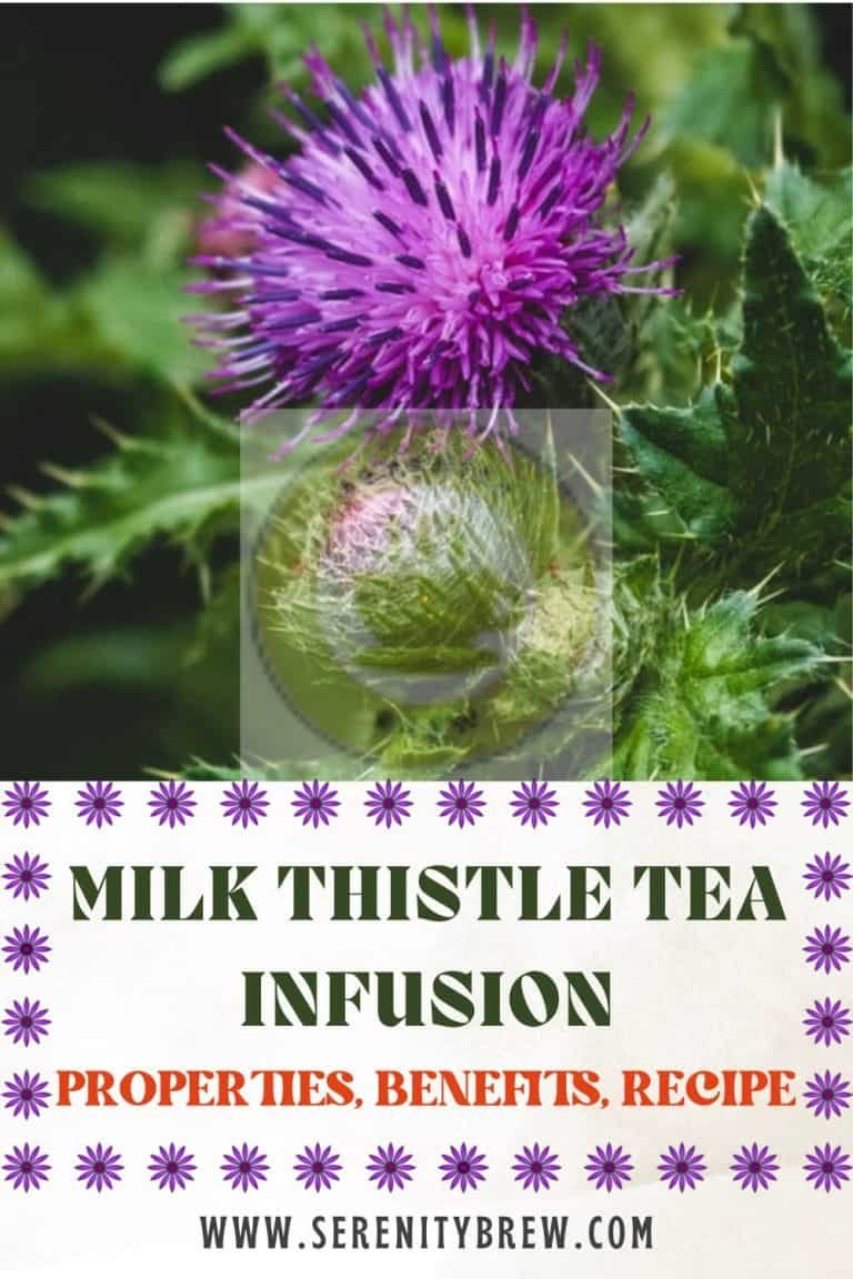 Milk Thistle Tea Infusion Properties Benefits Recipe Serenity Brew