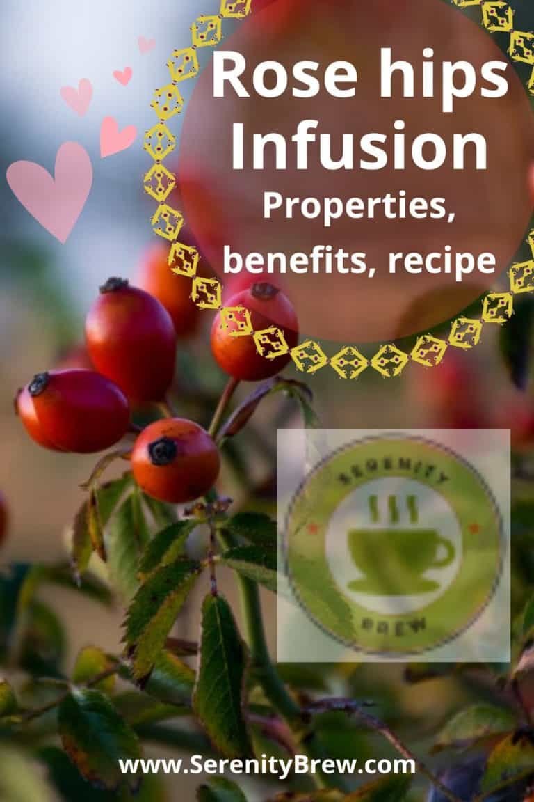 Rose hips Infusion: properties, benefits, recipe - Serenity Brew