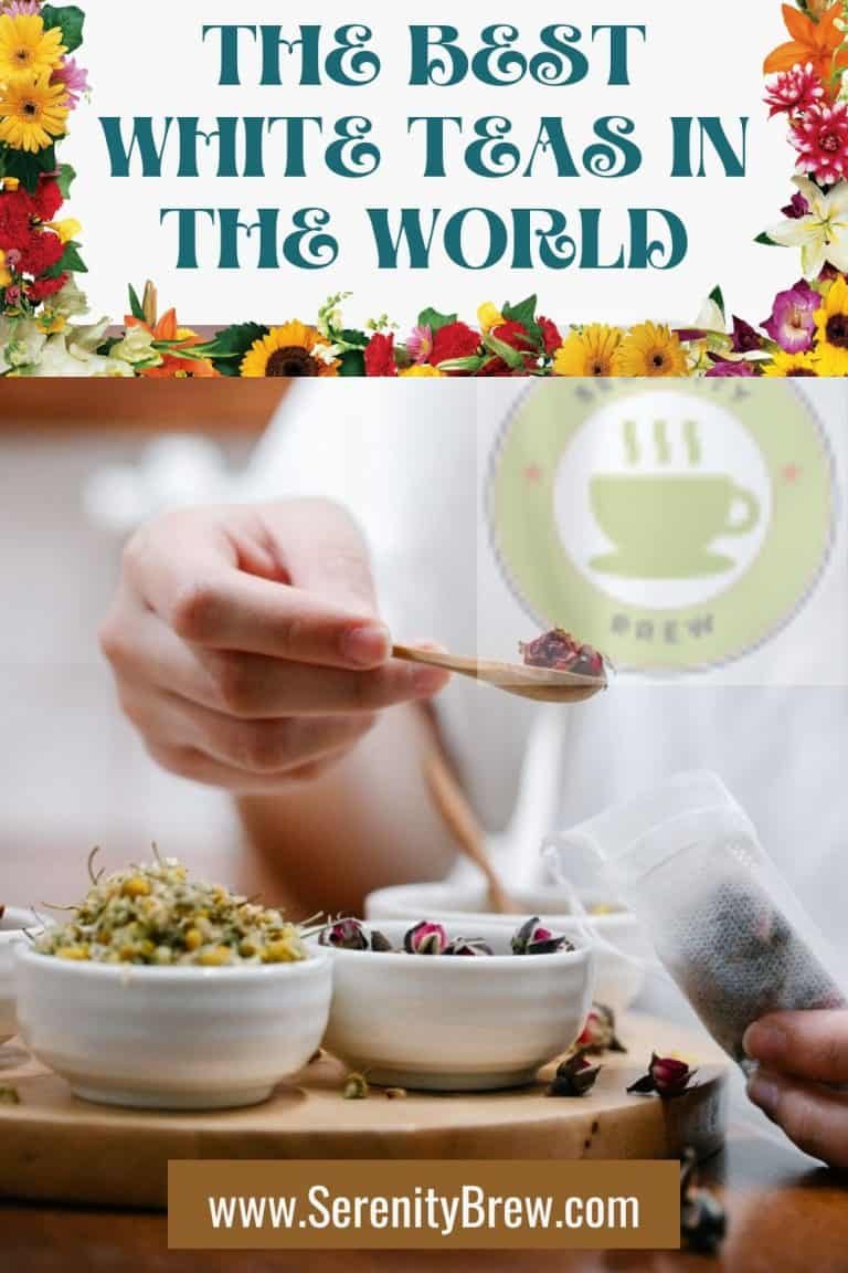 The Best white teas in the world Serenity Brew