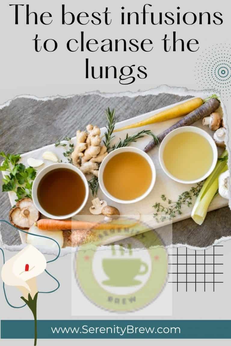 The best infusions to cleanse the lungs Serenity Brew