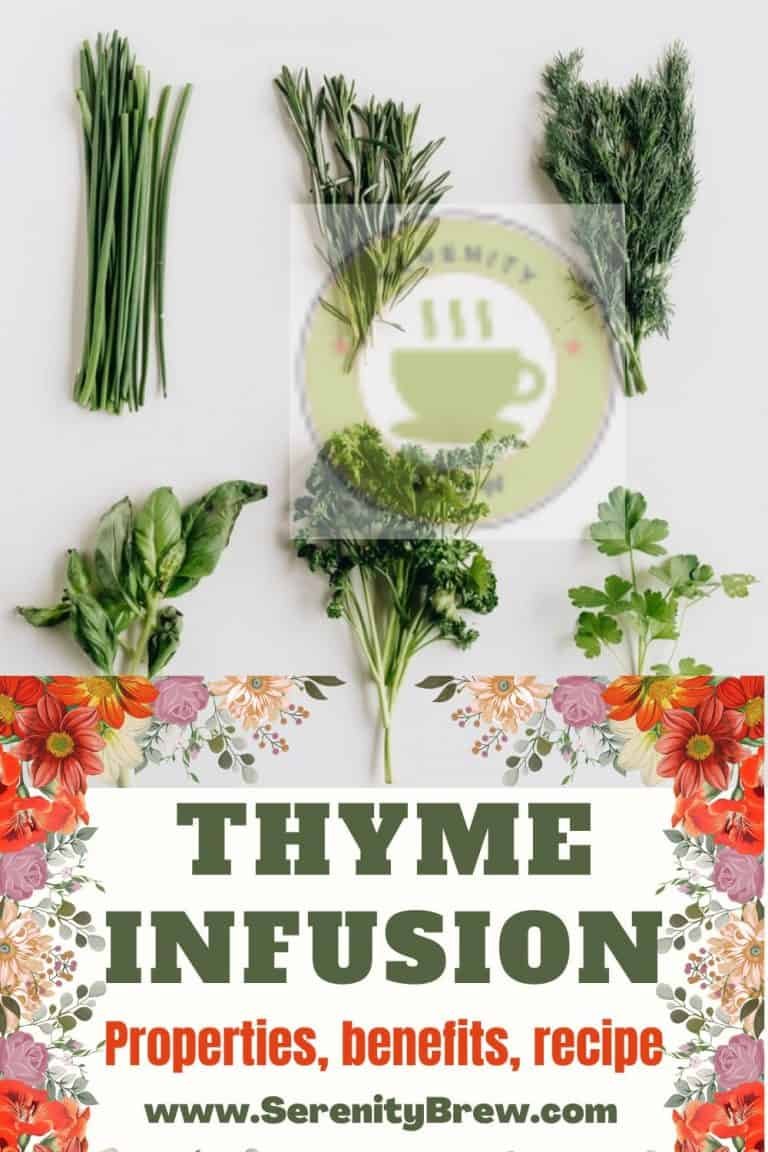Thyme infusion properties, benefits, recipe Serenity Brew
