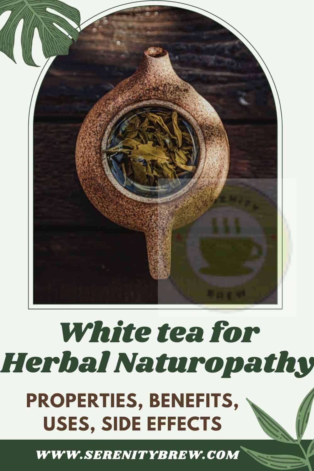 White tea for Herbal Naturopathy properties, benefits, uses, side effects Serenity Brew