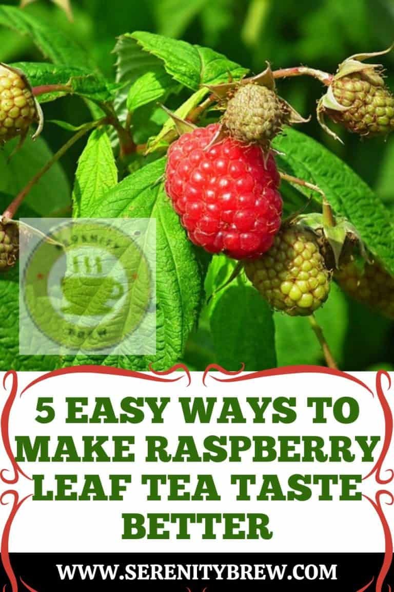5 Easy Ways To Make Raspberry Leaf Tea Taste Better Serenity Brew