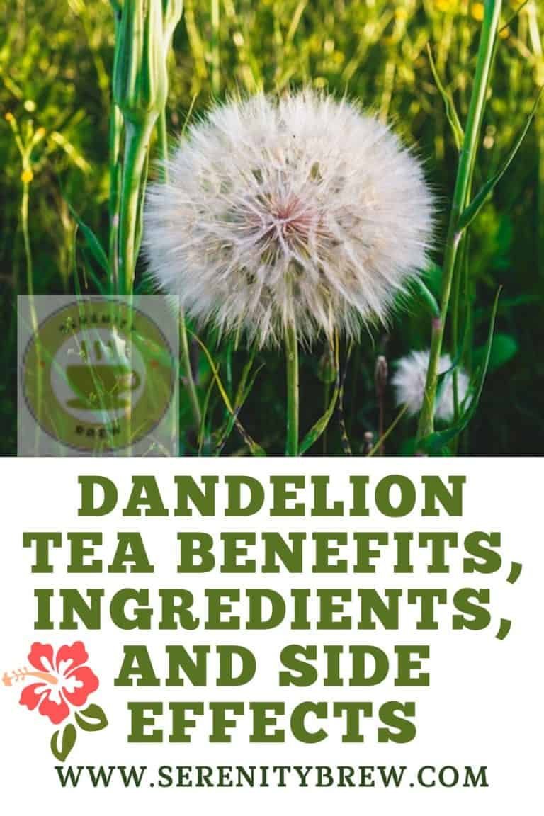 Dandelion Tea Benefits, Ingredients, and Side Effects Serenity Brew
