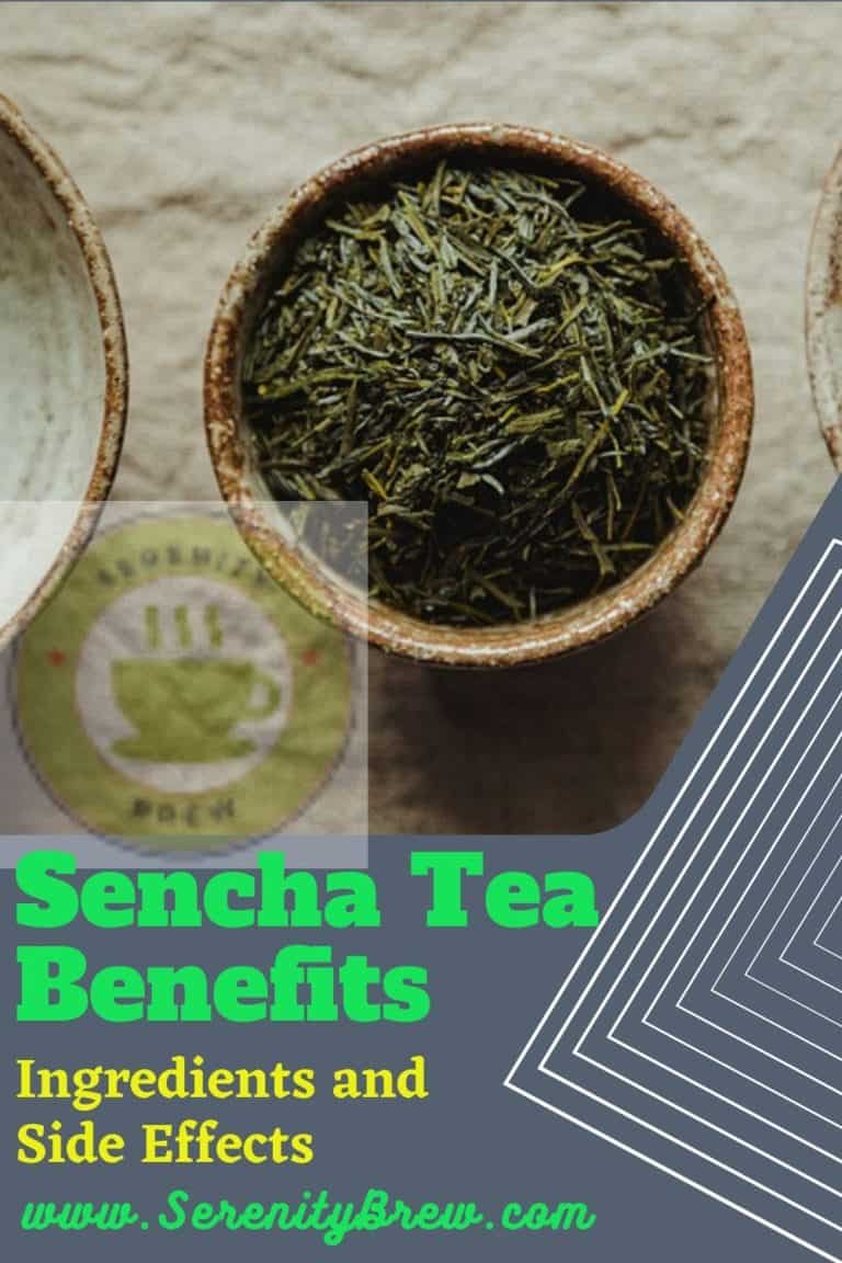 Sencha Tea Benefits Ingredients and Side Effects Serenity Brew