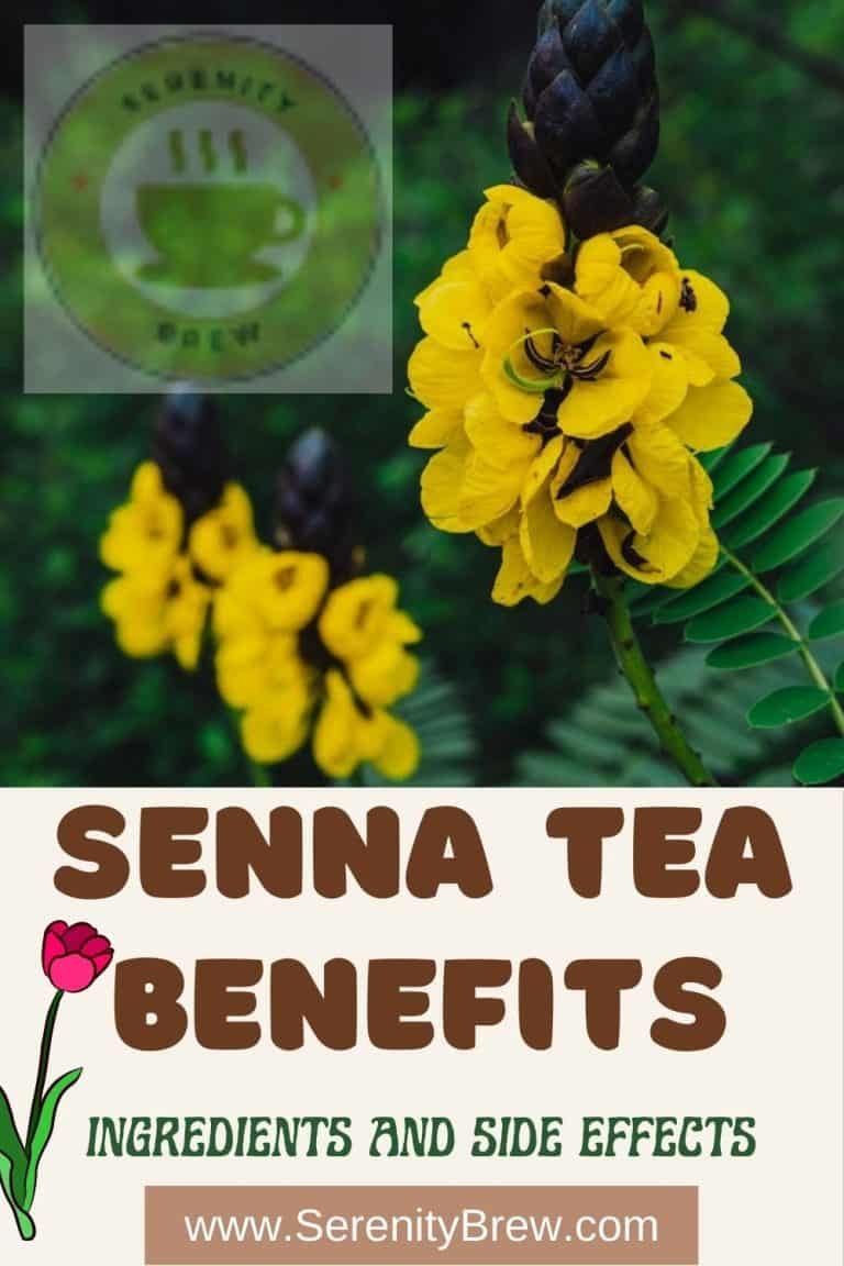 Senna Tea Benefits Ingredients And Side Effects Serenity Brew