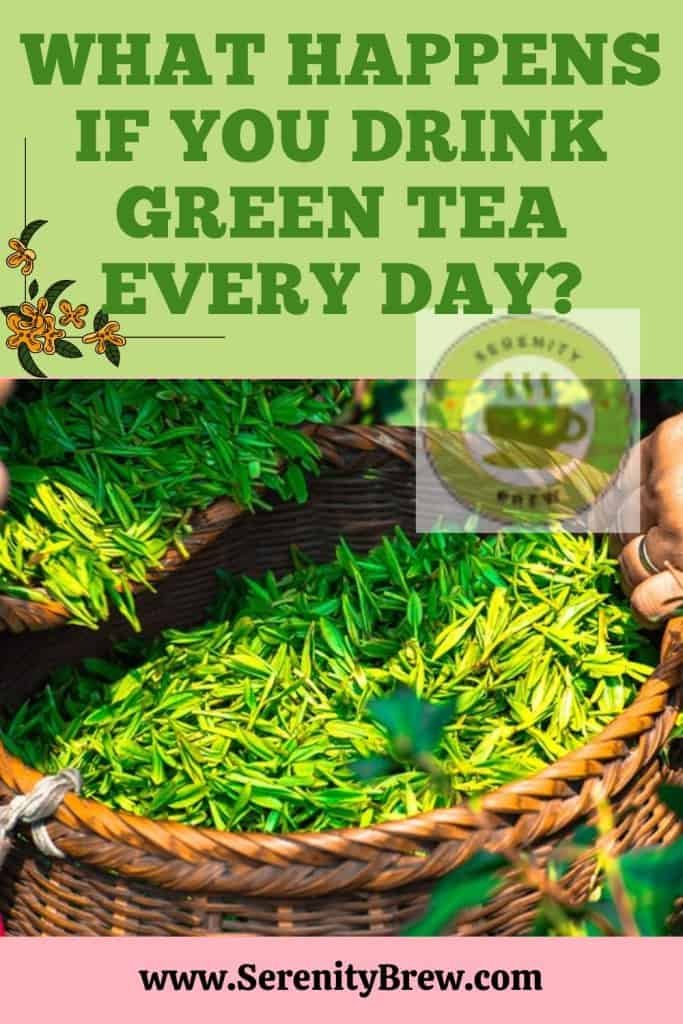 What happens if you drink green tea every day? Serenity Brew