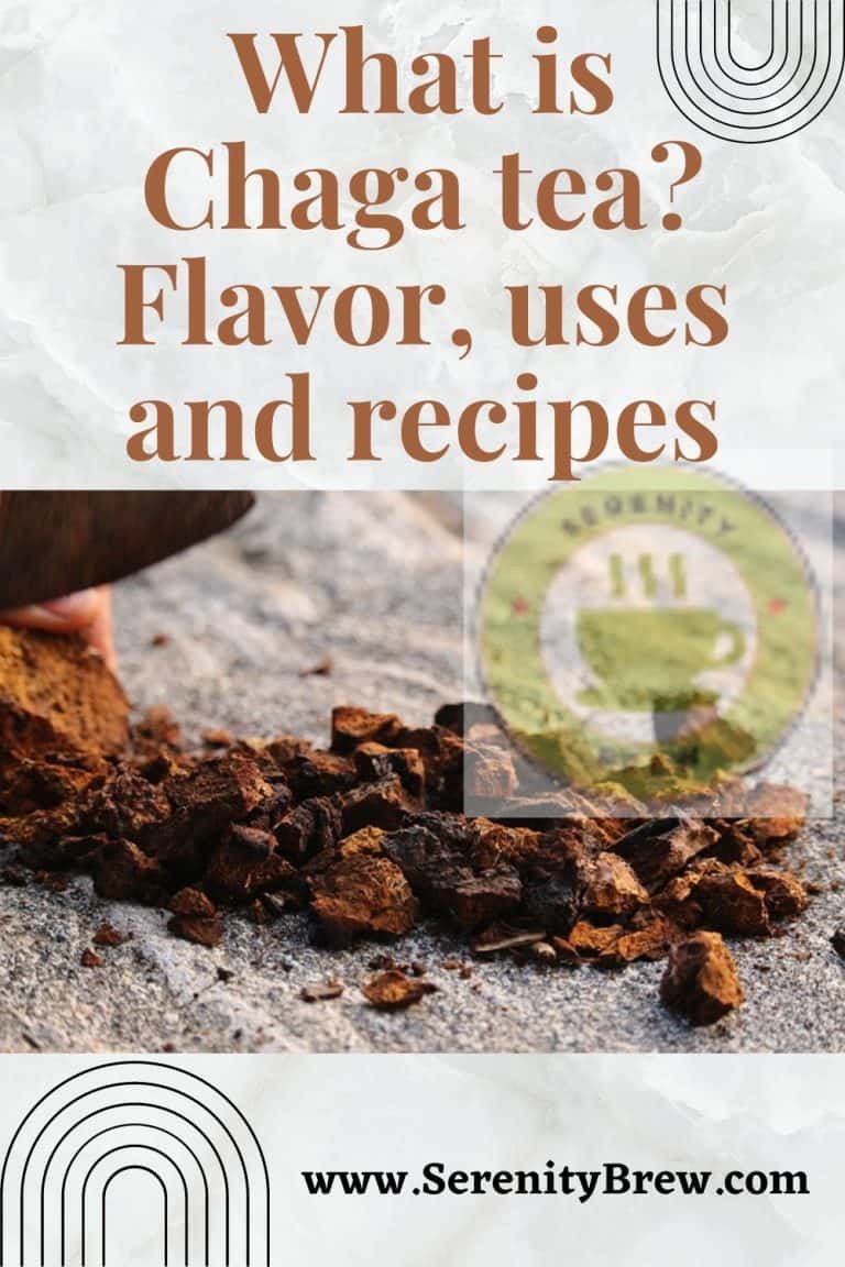 What is Chaga tea? Flavor, uses and recipes Serenity Brew
