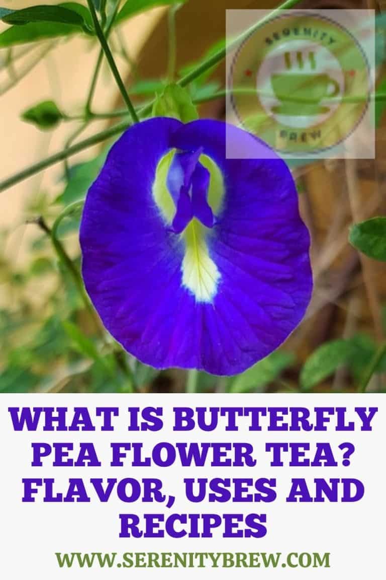 What is butterfly pea flower tea? Flavor, uses and recipes - Serenity Brew