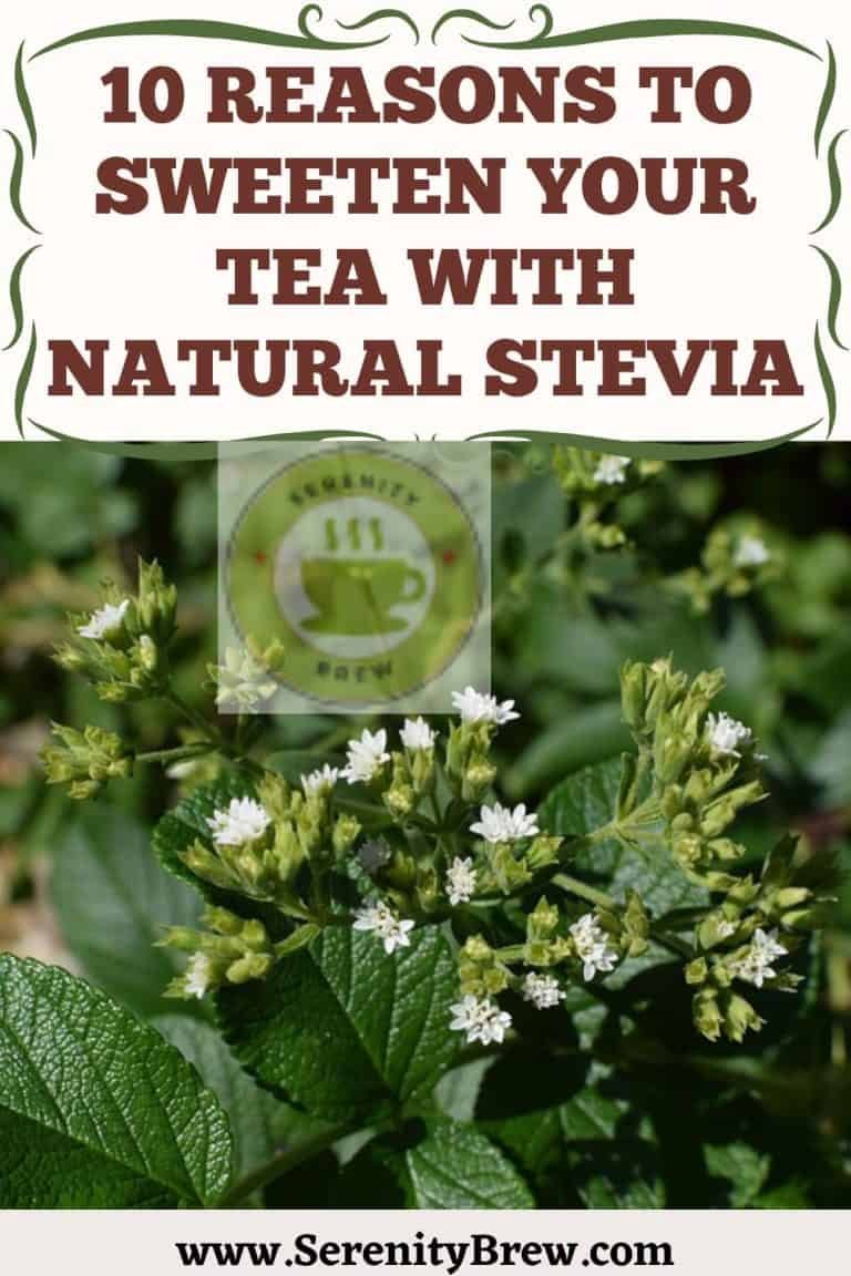 10 reasons to sweeten your tea with natural stevia Serenity Brew