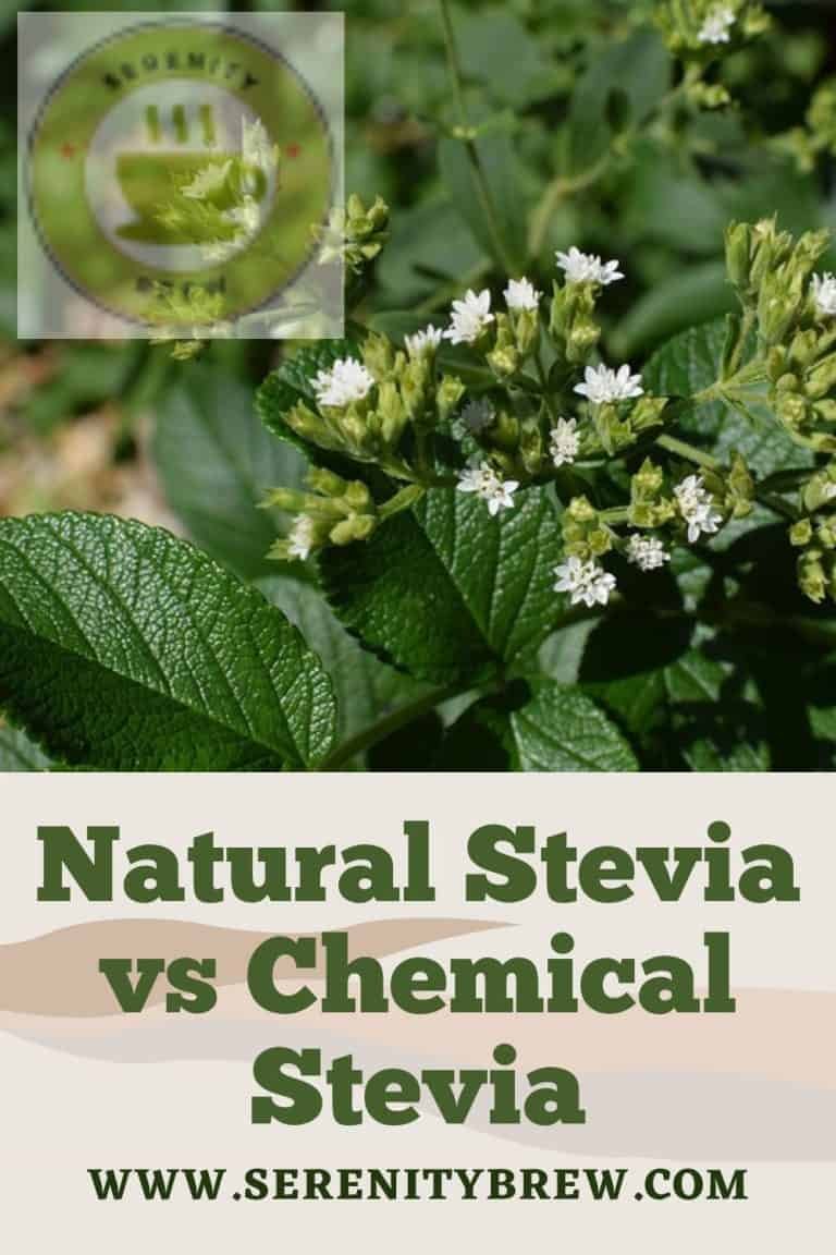 Natural Stevia vs Chemical Stevia Serenity Brew